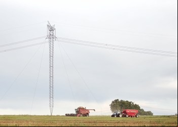 Produtores rurais no Tocantins se preparam para colheita de milho safrinha: confira cuidados para evitar acidentes com rede elétrica