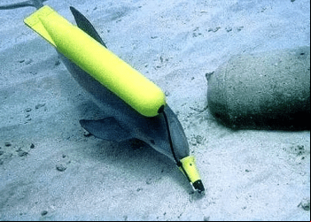 Rússia fortalece sua guarda marítima: Golfinhos treinados dobram em número no Mar Negro em meio ao temor de ataque ucraniano