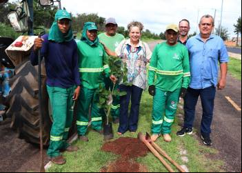 Prefeitura de Gurupi inicia arborização na avenida Antônio Nunes