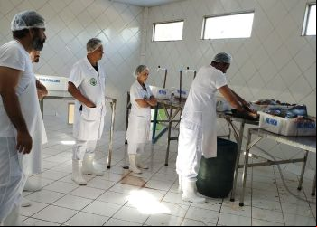Visita Técnica ao Frigorífico de Peixe em Porto Nacional busca impulsionar setor em Colinas do Tocantins