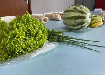 Prefeitura de Gurupi promove chamada pública para compra de produtos alimentícios da Agricultura Familiar