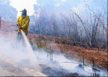 Governo do Tocantins abre processo seletivo para contratação emergencial de brigadistas florestais